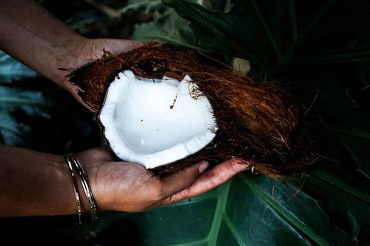 Kokosnuss in den Händen einer Frau